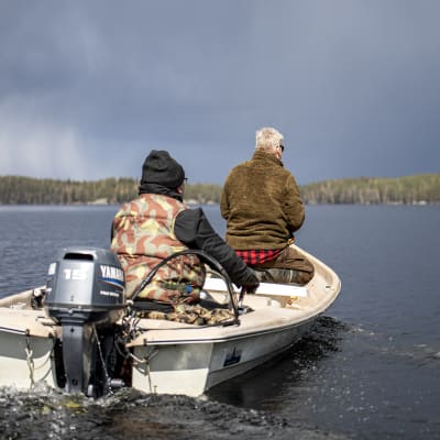 Jukka Kummunsalo matkalla laskemaan saimaannieriän poikasia Saimaaseen.