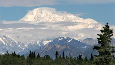 Denali, Nordamerikas högsta berg, 6 168 meter över havet.