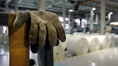Ett par handskar hängda över ett räcke syns i förgrunden. I bakgrunden ser man en pappersfabrik.