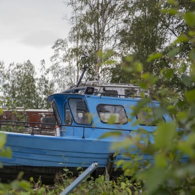 Kaksi venettä runsaiden lehtipuiden ja vihreiden puskien keskellä. Etualalla sininen vene, jossa avoin etuosa ja takaosassa ikkunallinen ohjaushytti. Takana iso matkavene, jonka valkoinen maali on lähes kokonaan rapistunut.
