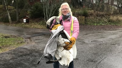 Britt-Mari Juup står med en svan i famnen