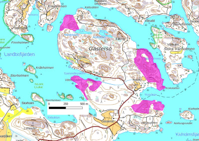 En karta som med ljusröda fläckar visar vilka fyra delar av YH Novias undervisningsskogar på Gästersö i Snappertuna som enligt en arbetsgrupp för naturskogar borde skyddas som naturskogar.