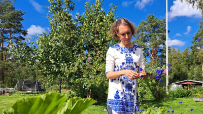 Heidi Granroth står i sin trädgård och gör en bukett av blåklint