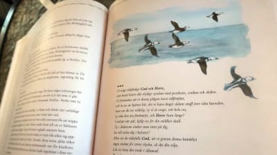 En bild ur en bok med Alfåglar i flykt och en bön.