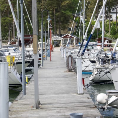 Brygga med otaliga segelbåtar som står förtöjda i rad. 