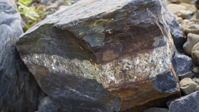 En stor mörkgrå sten med glimrande kopparröd färg i mitten och ett ljust streck..