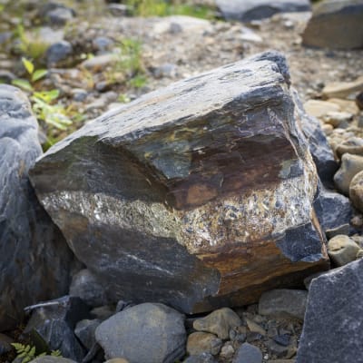 Tumma kivi, jonka keskiosassa kimaltelee vaaleampaa kiviainesta. 