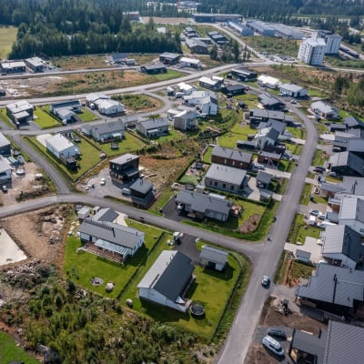 Kauramäen omakotitalo-aluetta.