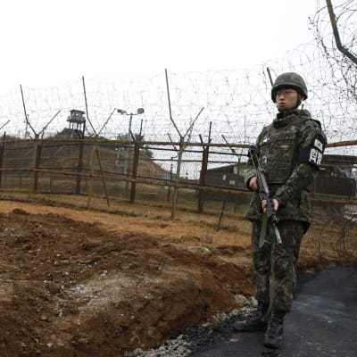 Soldat vid Sydkoreas gräns i Cheorwon. Soldaten vaktar gränsen mellan Sydkorea och Nordkorea.