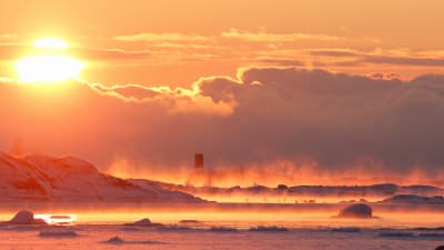 Solen går ner i sjöröken vid svanarnas nattkvarter ute vid Uddskatan i Hangö.