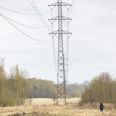 Sähkölinja halkoo Viikin luonnonsuojelualueen.