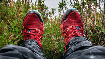 Ett par fötter i röda skor mellan ljungris.