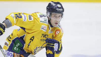Turo Asplund spelar ligahockey för Rauman Lukko.