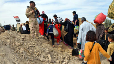 Irakiska soldater evakuera människor i västra Irak.