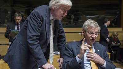 Finlands utrikesminister Erkki Tuomioja diskuterar med Sveriges utrikesminister Carl Bildt under mötet i Luxemburg.