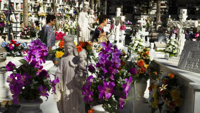 Gravgård smyckad med blommor i Malaga i Spanien