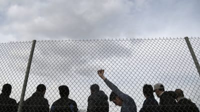 asylsökande vid stängsel