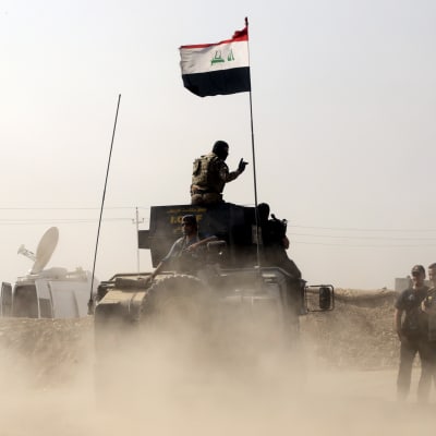 Shiamuslimska milisgrupper har inlett den väntade offensiven mot Tal Afar med stöd av arméns stridsvagnar och det irakiska flygvapnet.