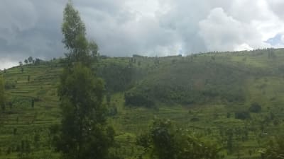 Rwandas kullar