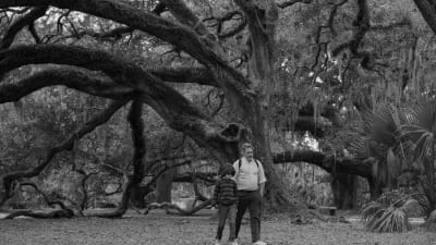 En medleålders man och en liten pojke i samspråk under ett enormt träd i en park.