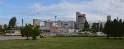 Gamla industribyggnader som använts för att producera kalk, omringade av gröna träd och en gräsmatta.