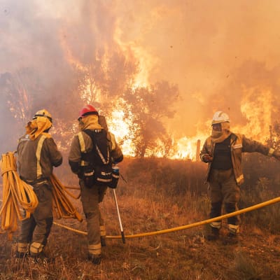 Räddningsarbetare vid en brinnande markbrand. Även träd står i brand och luften är grå av rök.