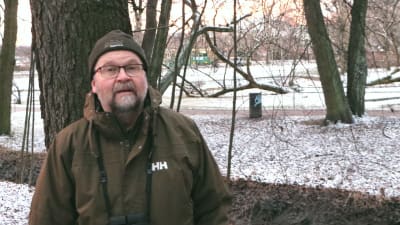 Miljöinspektör Raimo Pakarinen står med träd och Tölöviken i bakgrunden.