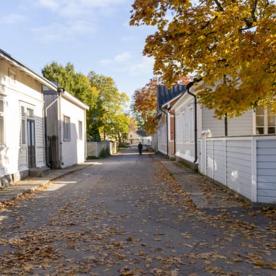 En gata i en äldre stadsdel med gamla hus.