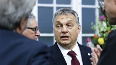 Premiärminister Viktor Orbán på toppmötet i Malta 3.2.2017