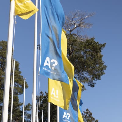 Aalto-universitetets flaggor vajar i vinden.