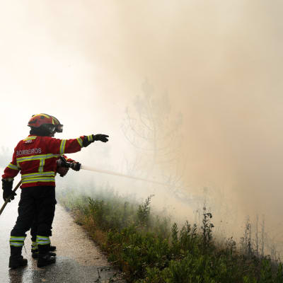 Brandmän i Cadafaz i regionen Góis i Portugal den 21 juni 2017.