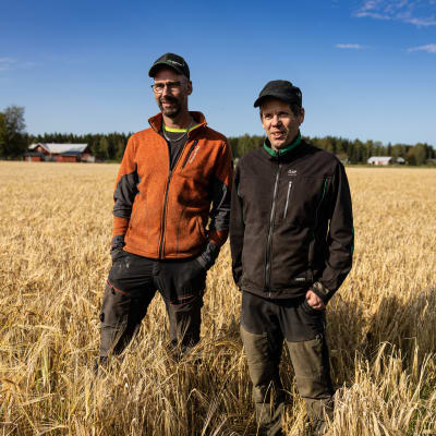 Porträttfoto av två män i kornfält