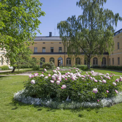 Kukkia Lapinlahden sairaala-alueen päärakennuksen sisäpihalla.