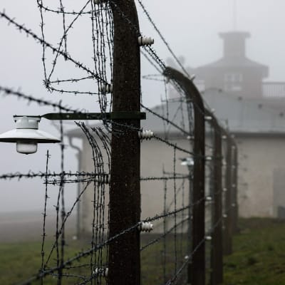 Ett taggtrådsstängsel runt det före detta nazistiska koncentrationslägret Buchenwald. 