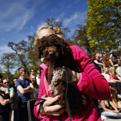 Hundparaden Puppy Parade i Brunnsparken i Helsingfors den 28 maj 2017.