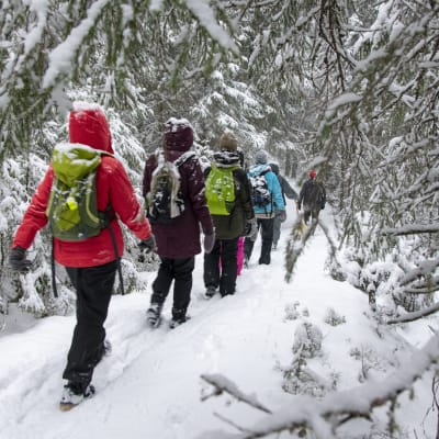 Ryhmä ihmisiä kulkee jonossa lumisessa metsässä