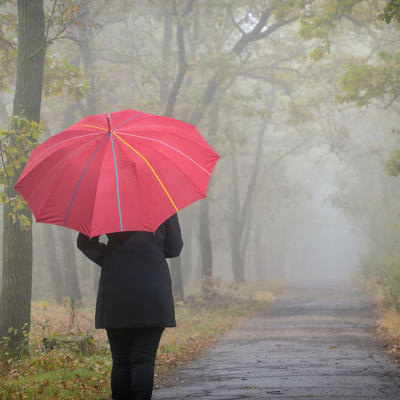 En kvinna vandrar längs en väg i dimman med ett rött paraply.