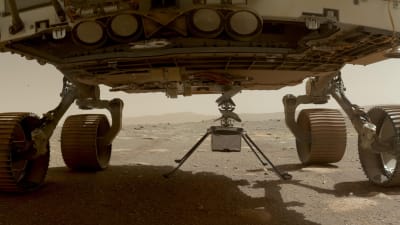 Minihelikopterna Ingenuity hänger under rovern Perseverance på planeten Mars den 30 mars. Minihelikoptern placerades på planeten några dagar senare.