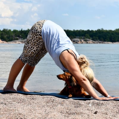 En kvinna i yogaställning, rumpan i vädret, en långhårig tax är med på yogamattan. Sandstrand, solsken, havet i bakgrunden.
