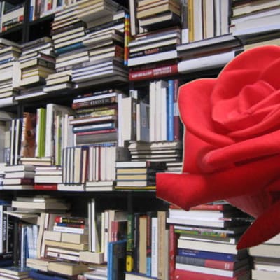 Kirjan ja ruusun päivä - uusimmat sisällöt – 
