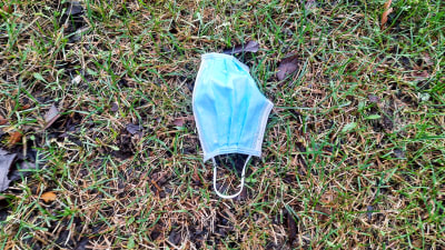 Ett använt blått pappersmunskydd på gräsmatta.