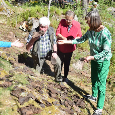 Calle Fogelholm, Berndt Gottberg, Lena Selén och Elisabeth Fogelholm granskar gamla uppgrävda skor i Svenviken i Ingå.