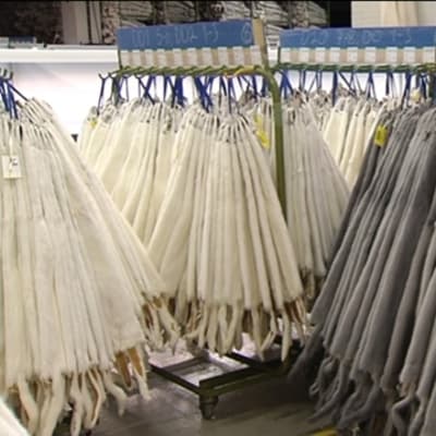 Skinnauktionen har inletts i vanda