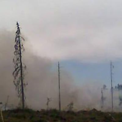Skogsbrand i Kelviå