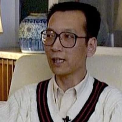 Liu Xiaobo år 1995