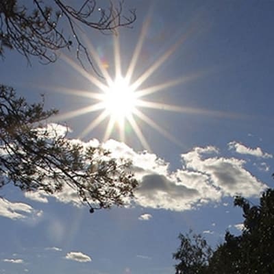 Professor Atte Korhola vill spjälka upp klimatproblemen i mindre delar för att kunna angripa dem och åtgärda dem på rätt sätt. Bild: Yle