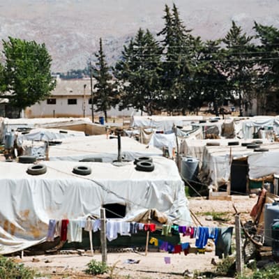 Syriskt flyktingläger i Dalhamiyeh i Libanon