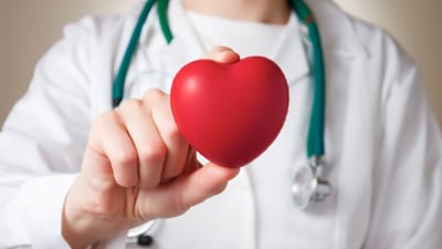 Läkare håller i ett rött plasthjärta
