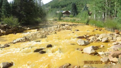 Utsläpp från guldgruva i floden Animas