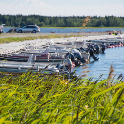 Småbåtar förtöjda vid en brygga.